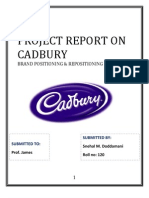 Project Report On Cadbury: Brand Positioning & Repositioning