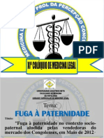 Fuga À Paternidade