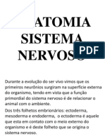 Sistema Nervoso Central - Completo