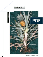 Ch1 The Pineapple PDF