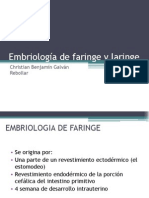 Embriología de Faringe y Laringe