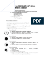 09 - Phylum Sarcomastigophora, Subphylum Sarcodina