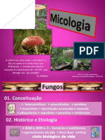 Fungos - Introdução Veterinária