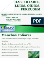 Manchas Foliares, Míldios, Oídios, Ferrugem