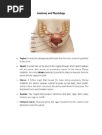 Anatomy and Physiology of Female Reproductive System