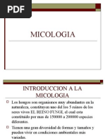 Micología