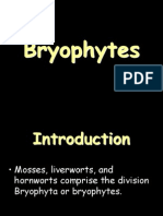 Bryophyte