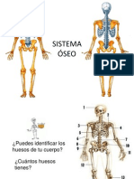 2 Sistema Osteo-Articular