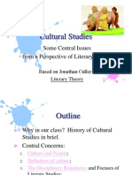 Cultural Studies: Some Central Issues From A Perspective of Literary Studies