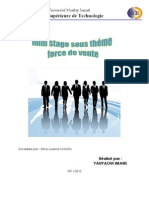 Rapport de Stage Sous Theme Force de Vente