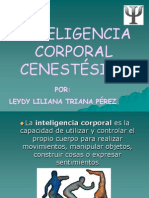 Inteligencia Corporal Cinestesica Presentacion