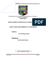 Ensayo Sobre El Derecho A La Consulta Previa