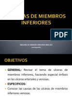 Ulceras de Miembros Inferiores