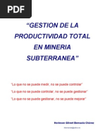 Gestion de Productividad Total Mineria Subterranea