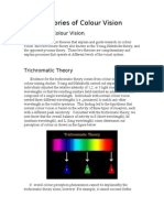 Theories of Colour Vision