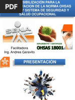 Presentación OHSAS18001-SENA