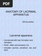 Anatomy of Lacrimal Apparatus