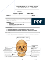 Practica - No.1.cefalometria 1