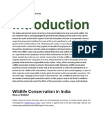 Wildlife Conservation Efforts in India