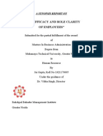 "Role Efficacy and Role Clarity of Employees": A Synopsis Report On