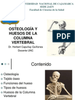 II CLASE de ANATOMIA, Osteologia, Columna Vertebral