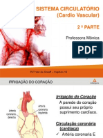 Aula Sistema Circulatório - 2 Parte