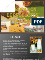 Elaboracion de Productos Lacteos