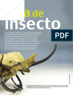 Vida de Insectos (Cómo Ves)