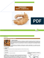 Tamarindo PDF