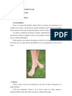 Semiología Osteoarticular