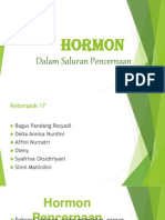 Hormon Dalam Saluran Pencernaan