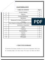 Chapterization: Chapter's Page's