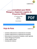 Climate Focus Institutionallidad y Aspectos Legales de Diseno de Proyectos REDD - Carina Bracer