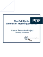 Cell Cycle