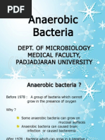 Anaerobic Bacteria