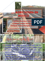 La Agricultura en Mexico