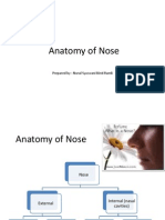 Anatomy of Nose: Prepared By: Nurul Syazwani Binti Ramli