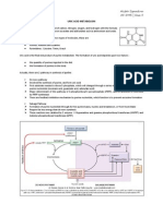 Uric Acid Metabolism