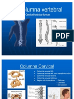 La Columna Vertebral Posiciones Radiologicas y Anatomia