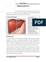 Cirrosis Hepática Con Dibujos