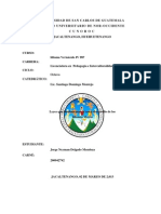 Leyes Que Fundamentan El Uso y Desarrollo de Los Idiomas Mayas