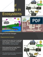 Cycling of Materials in Ecosystems