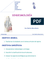 Sindesmologia PDF