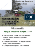 Alternativas Conservacion de Forrajes