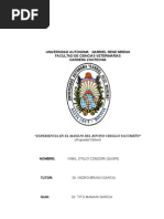 Informe Final de Yabare 2013