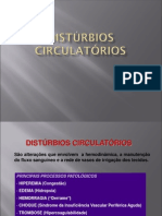 Distúrbios Circulatorios