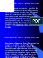 Embriologia Del Aparato Genital Femenino