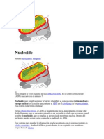 Nucleoid e