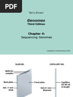 Genomes3e PPT ch04