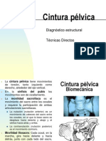 Cintura Pelvica